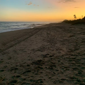 Meet your Posher, Barb